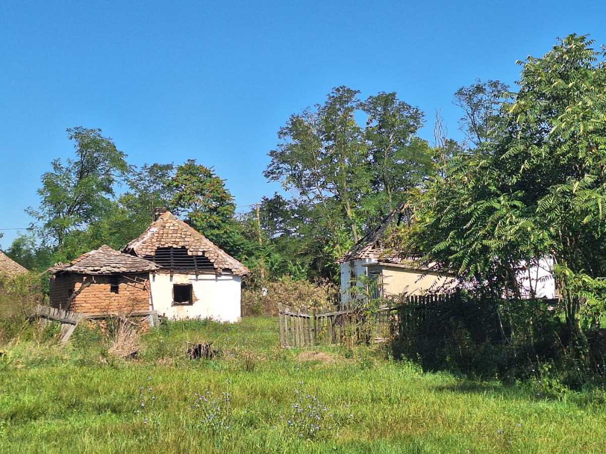 WhatsApp Image 2025-09-16 at 11.53.15_115a42d5.jpg