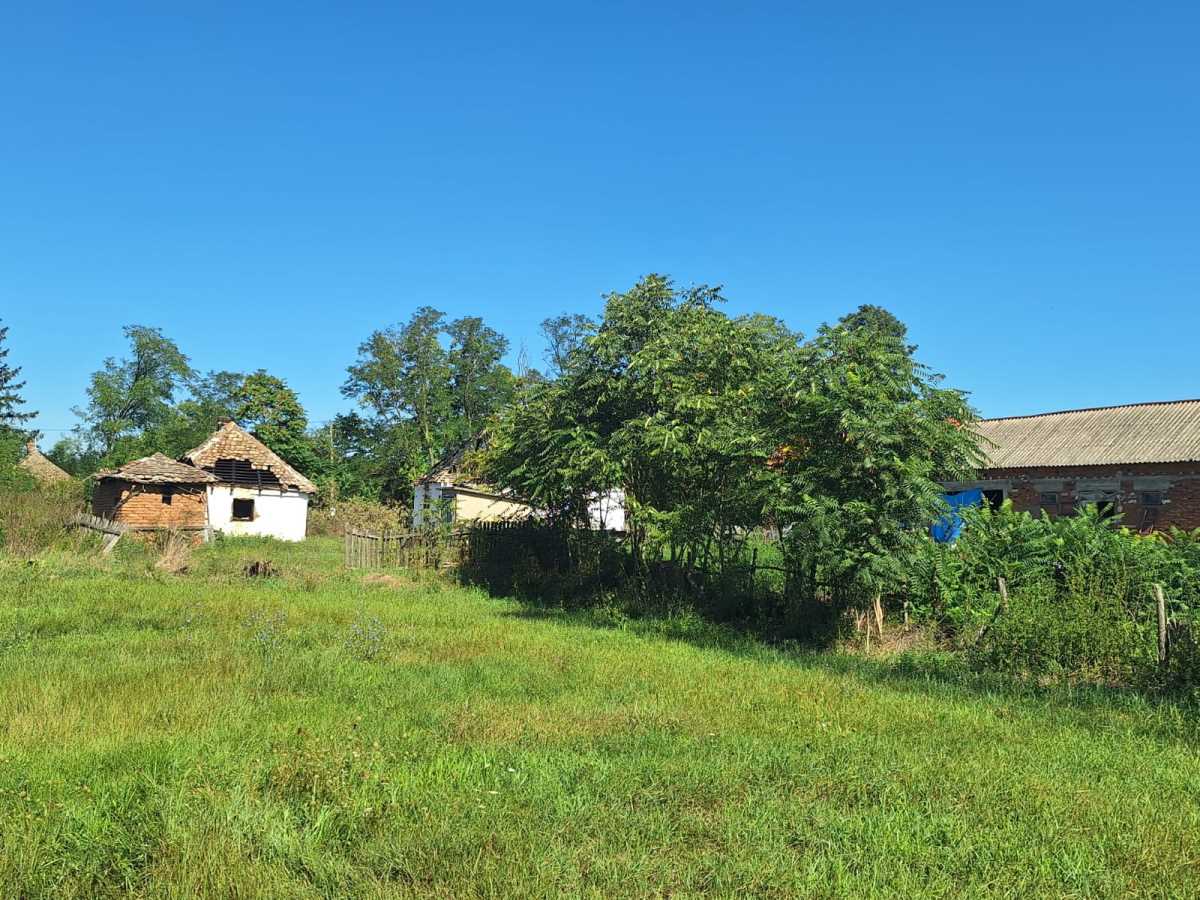 WhatsApp Image 2025-09-16 at 11.53.16_0987790d.jpg