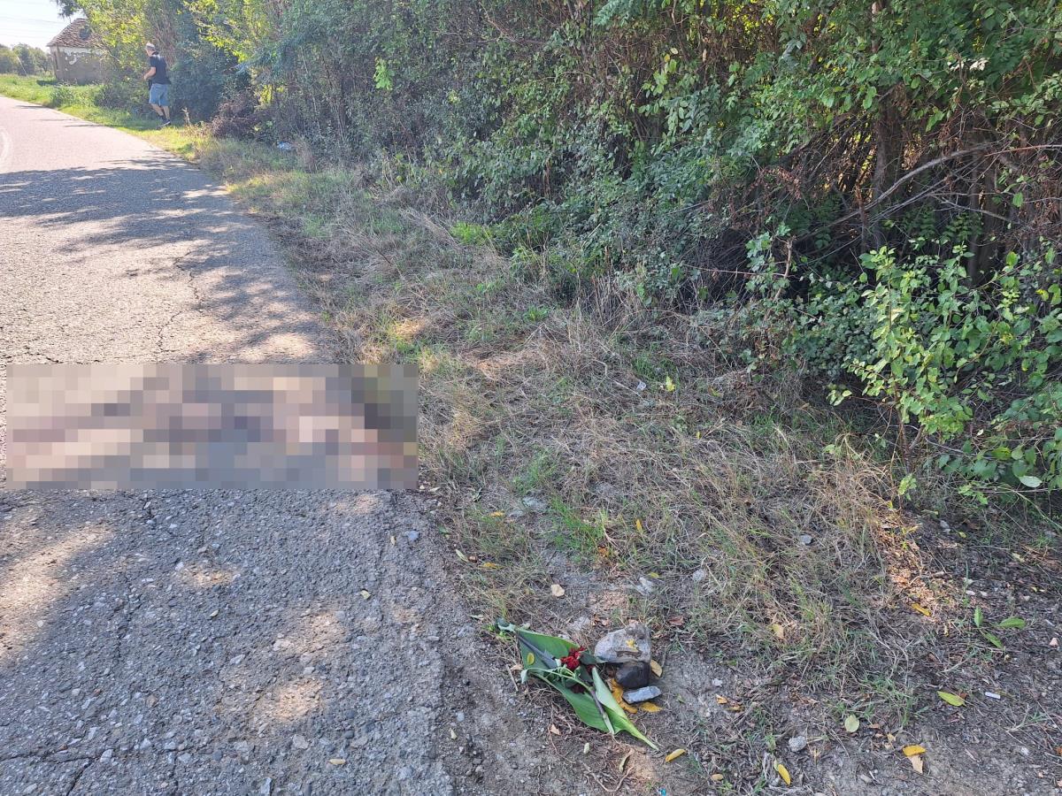 WhatsApp Image 2025-09-16 at 13.05.51_36e6326e.jpg