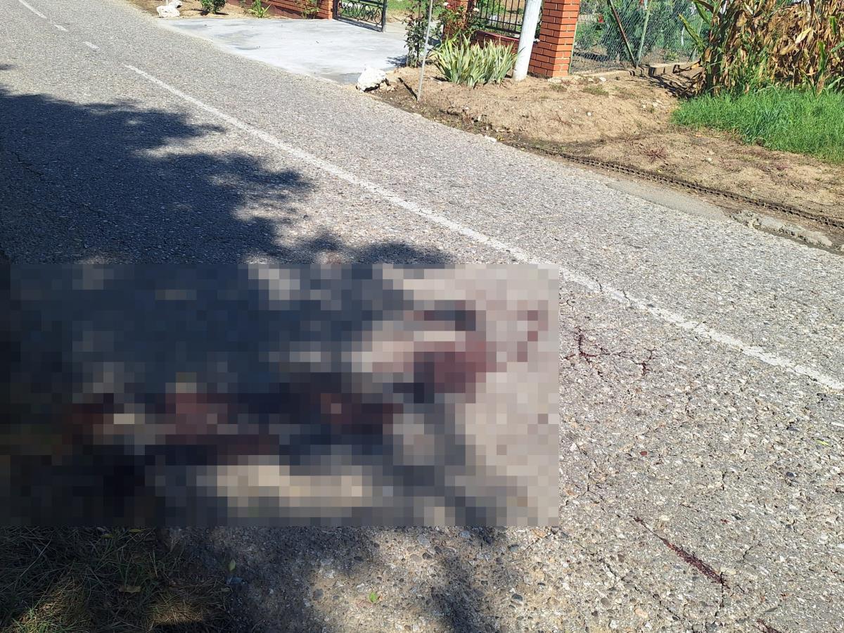 WhatsApp Image 2025-09-16 at 13.05.50_fbe31c59.jpg