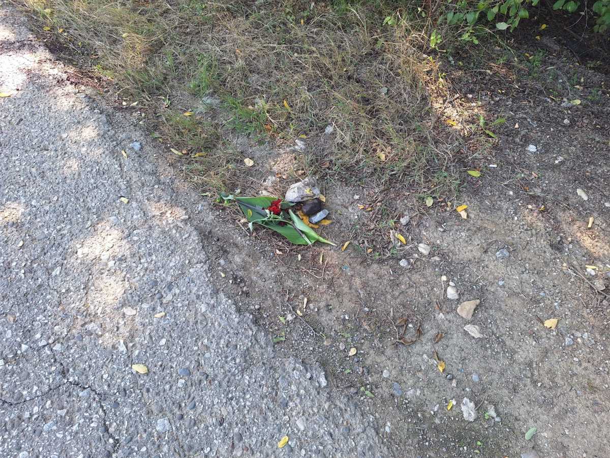 WhatsApp Image 2025-09-16 at 13.05.50_e3d8b6b7.jpg