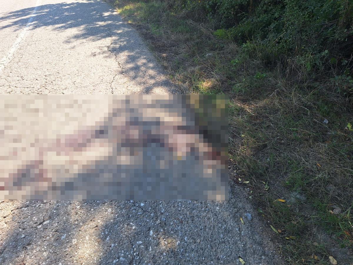 WhatsApp Image 2025-09-16 at 13.05.50_25c6964d.jpg