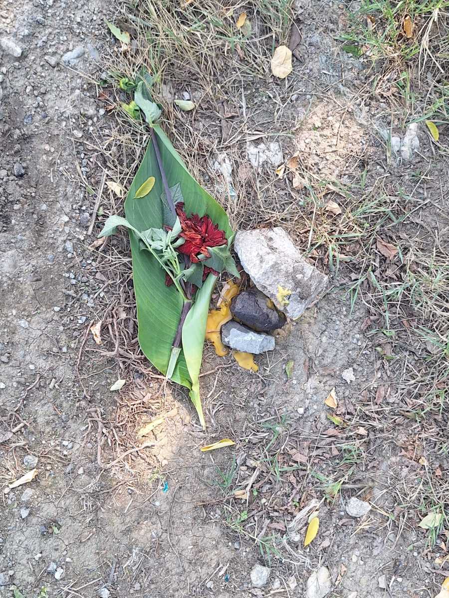 WhatsApp Image 2025-09-16 at 13.05.49_716a3b84.jpg