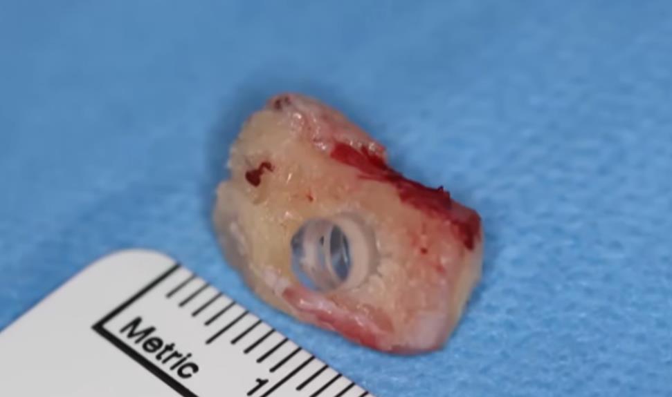 Screenshot 2025-09-18 105245.jpg