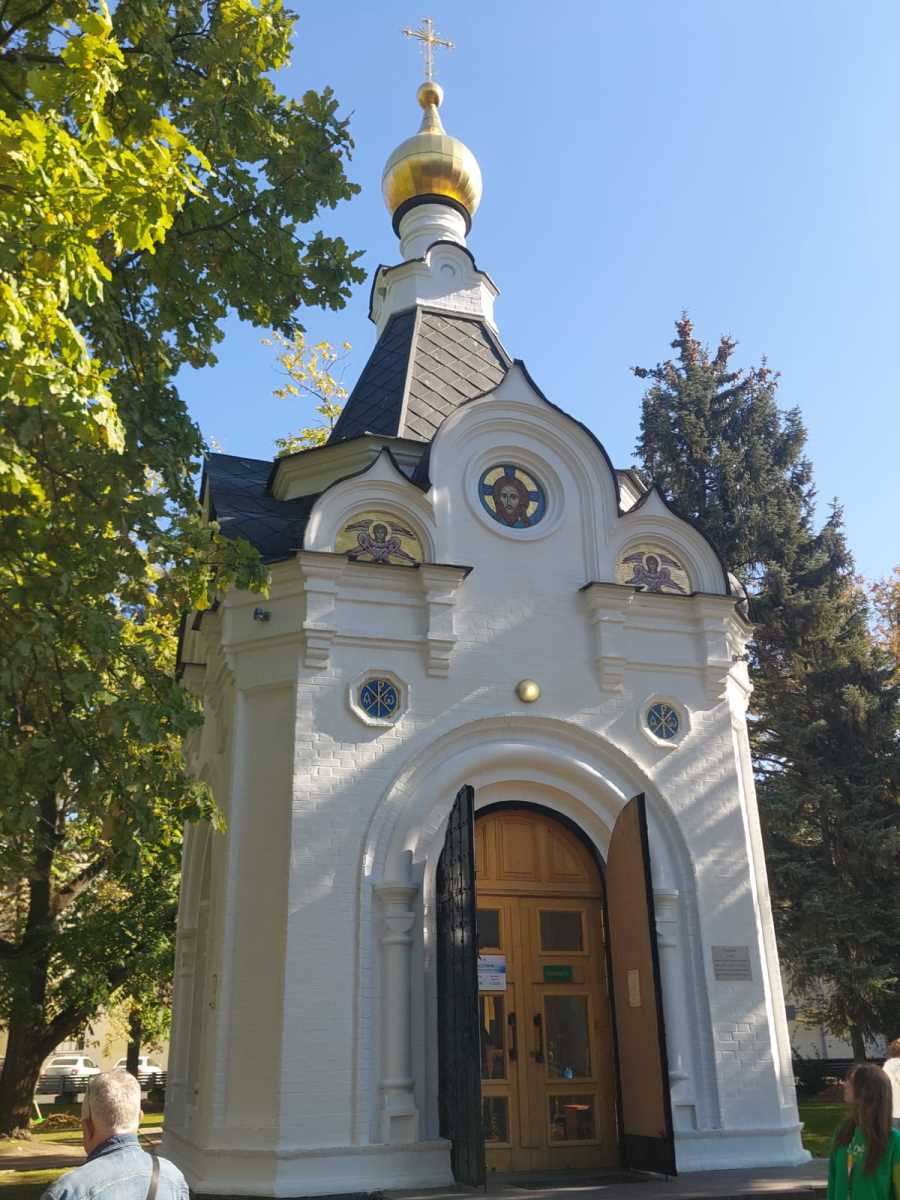 Marija Spasojević, Sveta Srbija, Svetski omladinski festival  (3).JPG