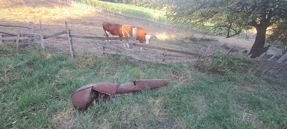 WhatsApp Image 2025-09-19 at 6.12.05 PM.jpeg