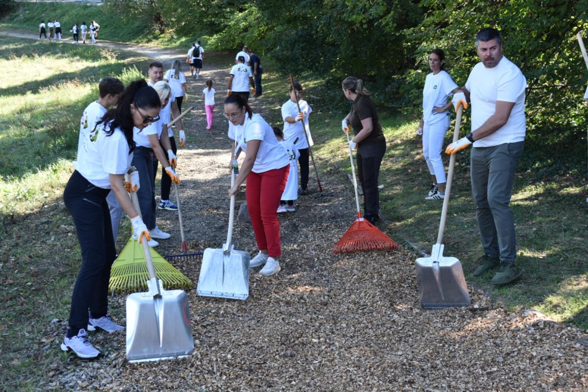 Павков Ф гора кампања 9.jpg