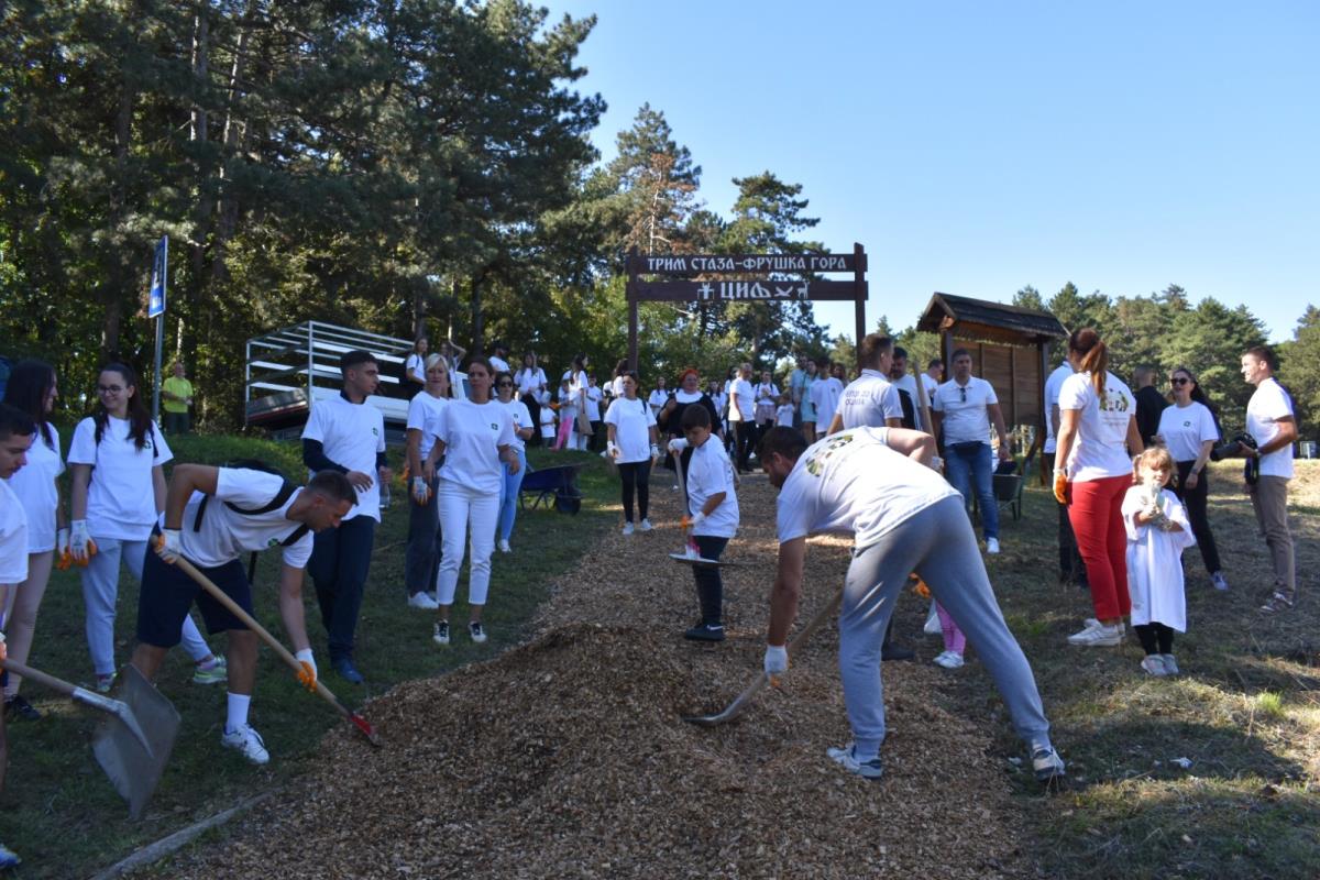 Павков Ф гора кампања 8.jpg