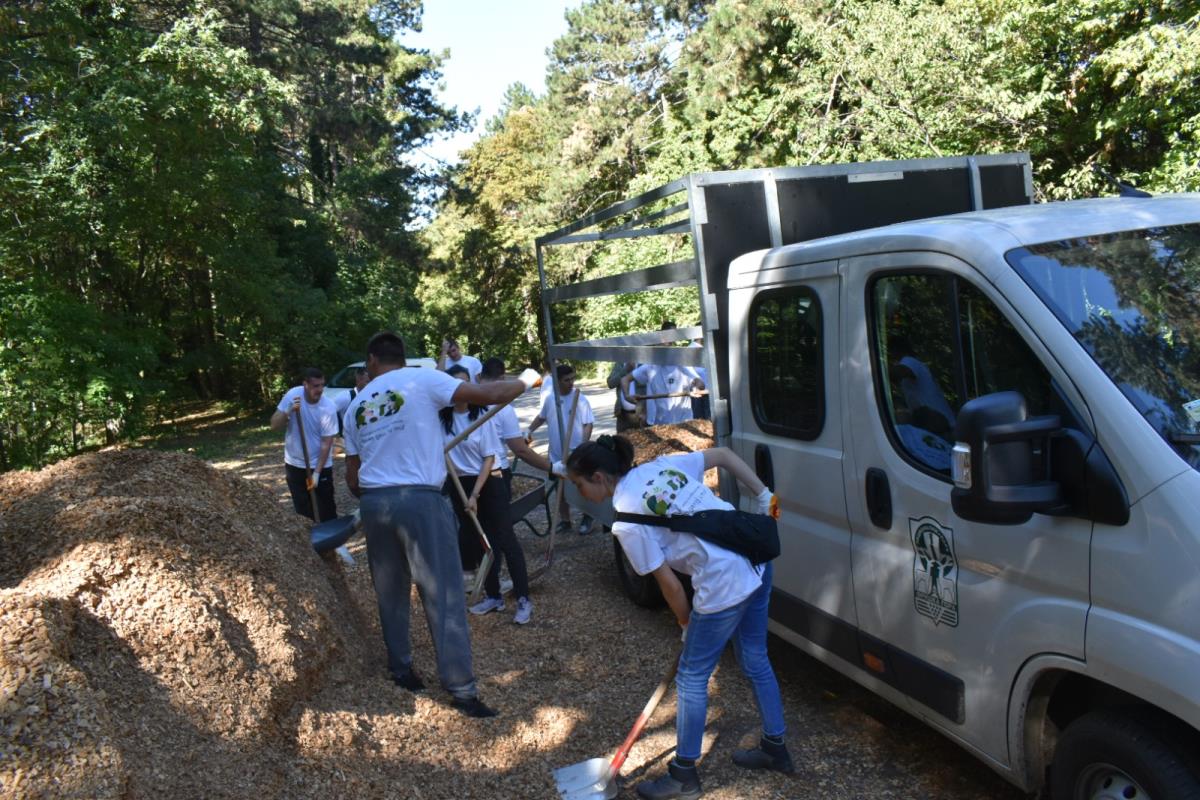 Павков Ф гора кампања 3.jpg