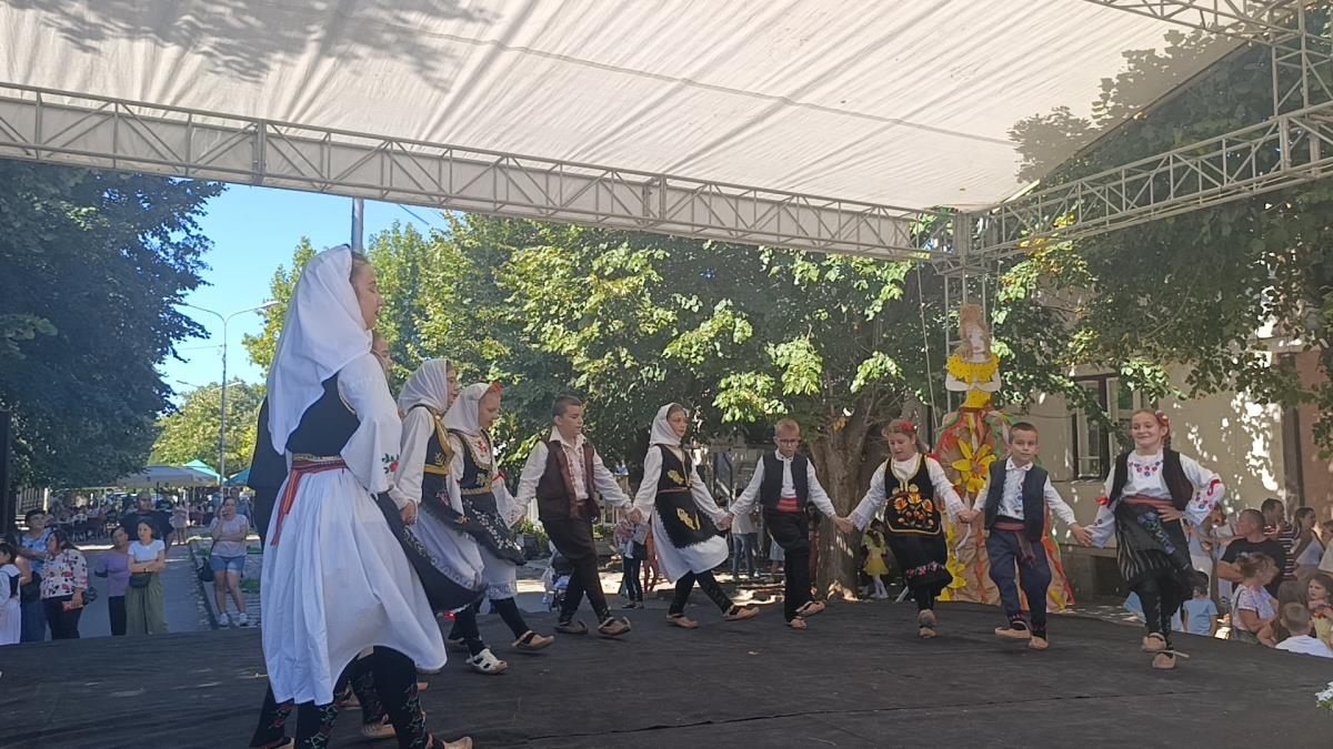 Etno festival u Varvarinu, kulturna, zabavna manifestacija 