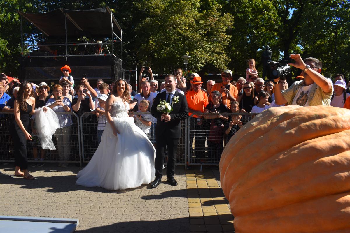 Mladenci FOTO SAŠA UROŠEV.JPG