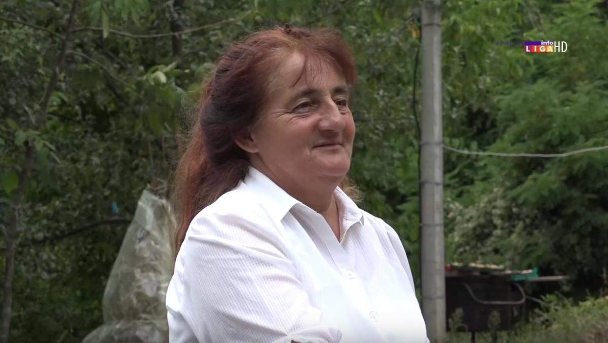 Screenshot 2025-09-23 131417.png