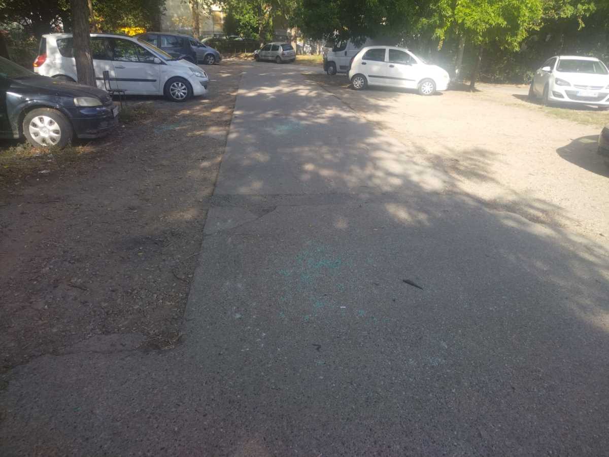 WhatsApp Image 2025-09-24 at 10.25.04_768f586b.jpg