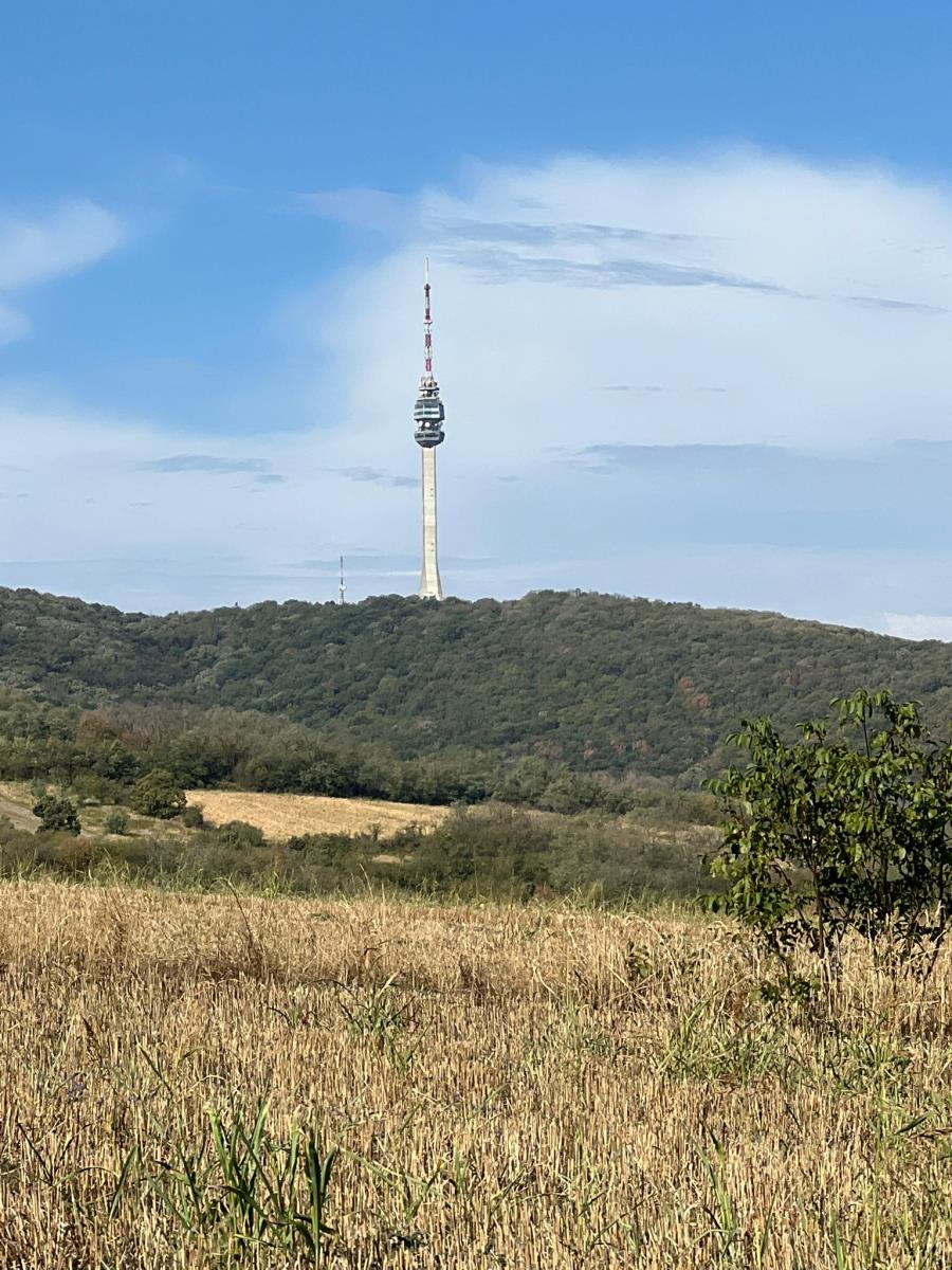 WhatsApp Image 2025-09-24 at 16.05.58_7652f00e.jpg