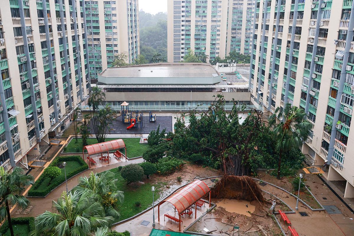 Tajfun Azija (12).jpg