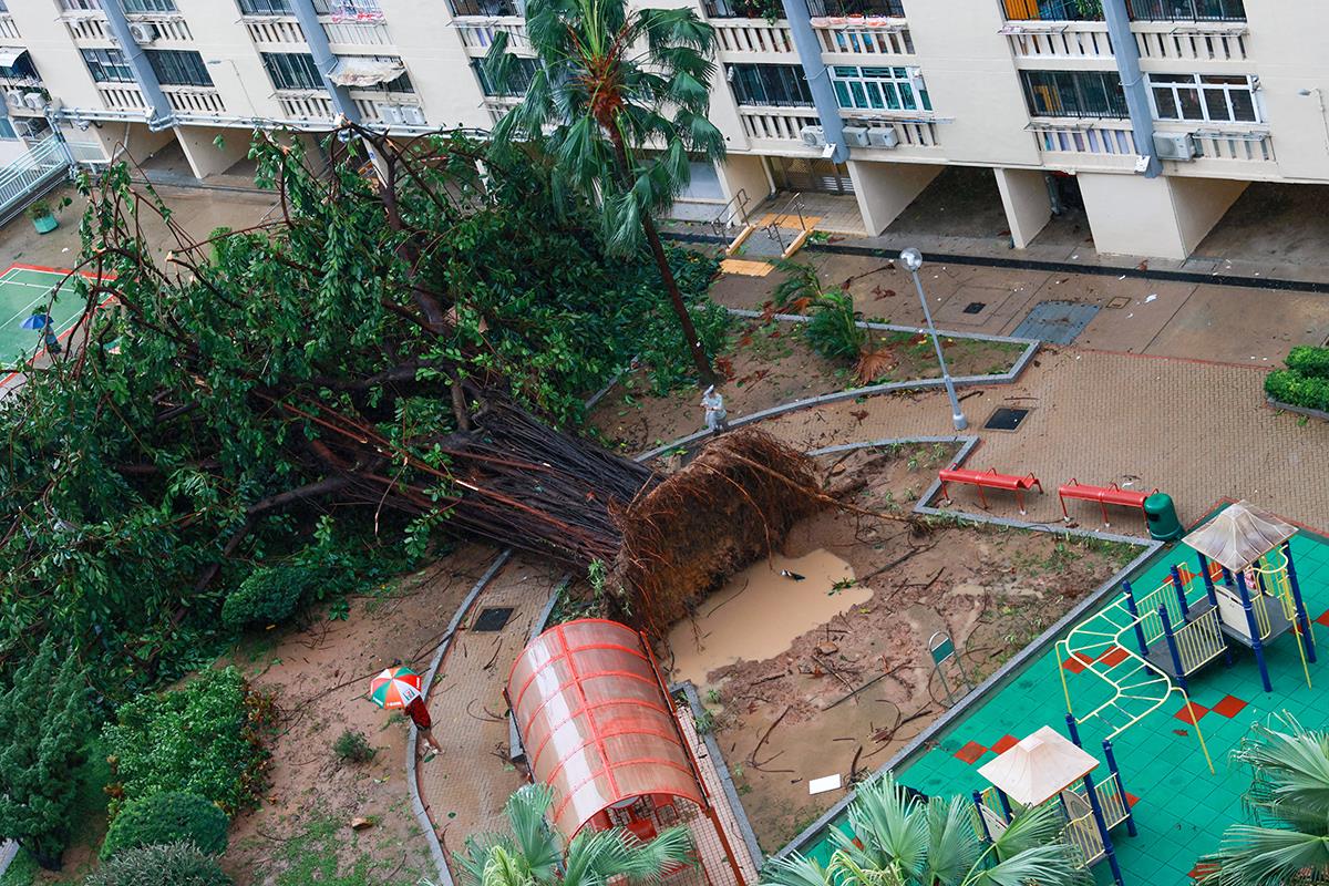 Tajfun Azija (8).jpg