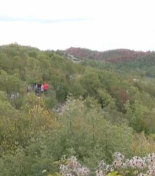 Screenshot 2025-09-25 194837.jpg