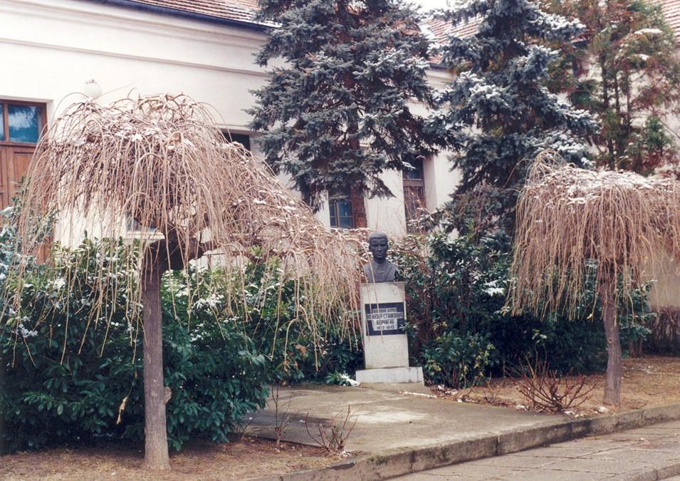 Os Veliki Siljegovac.1jpg.jpg