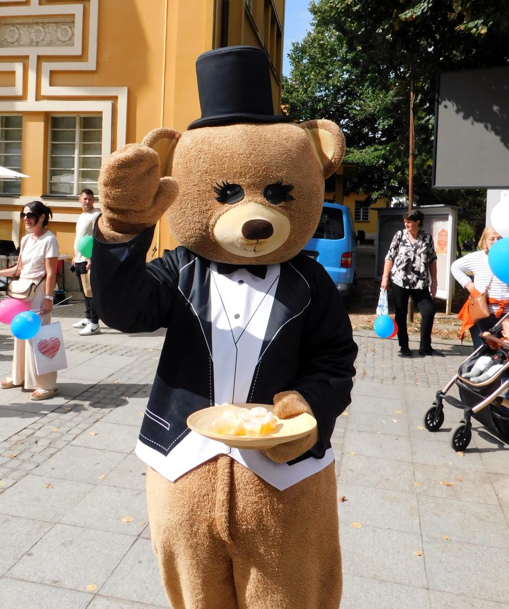 LOZNICA - Ponuda.JPG