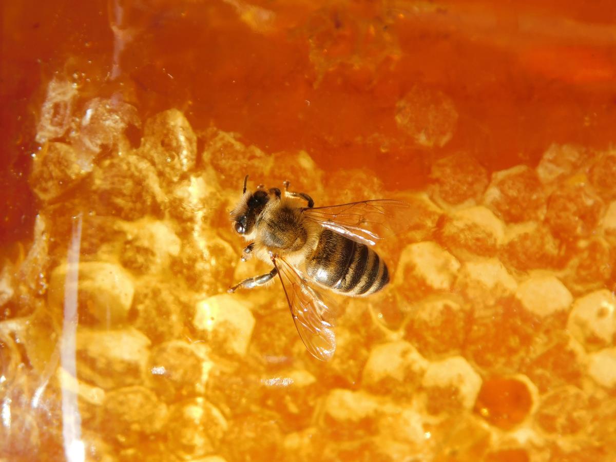 LOZNICA - Od njih sve zavisi.JPG