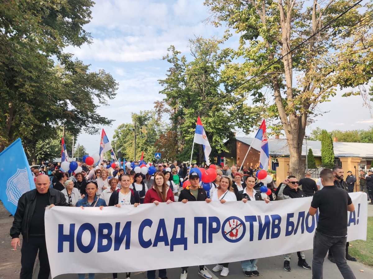 WhatsApp Image 2025-09-28 at 16.31.47 (1).jpeg