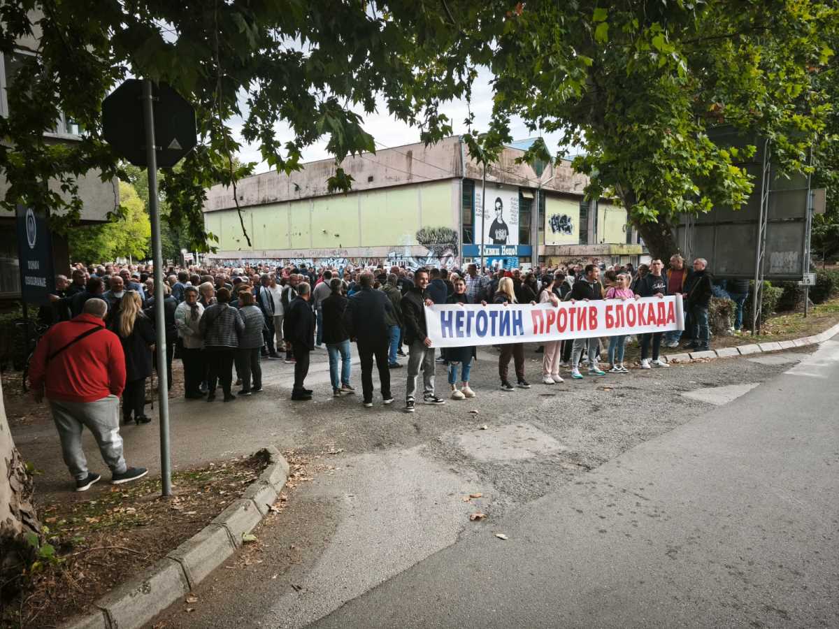 WhatsApp Image 2025-09-28 at 17.04.50 (1).jpeg