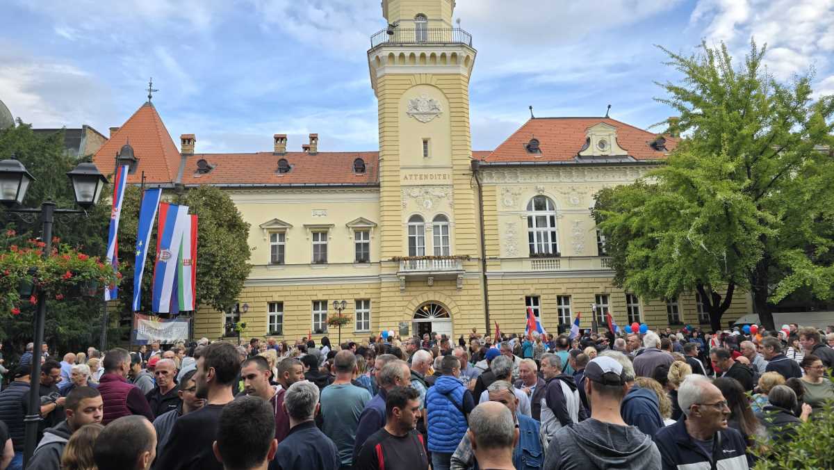 WhatsApp Image 2025-09-28 at 17.05.37.jpeg