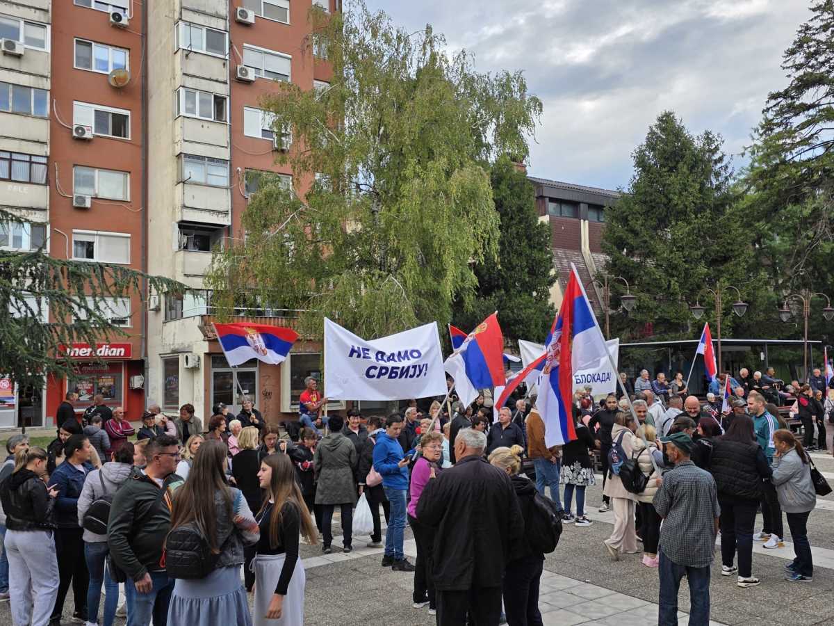 WhatsApp Image 2025-09-28 at 17.20.25.jpeg