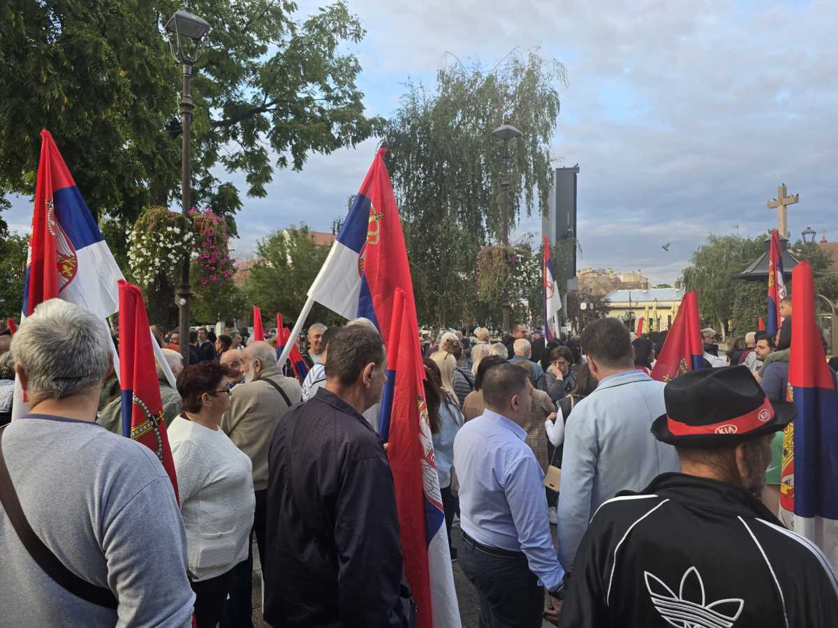 WhatsApp Image 2025-09-28 at 18.22.29.jpeg