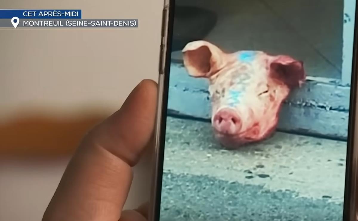 Screenshot 2025-09-29 175154.png