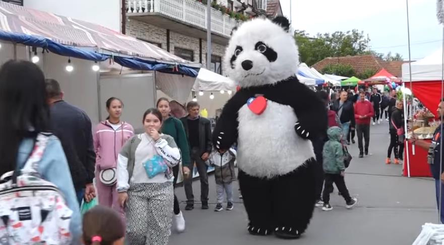 Screenshot 2025-09-30 134939.jpg