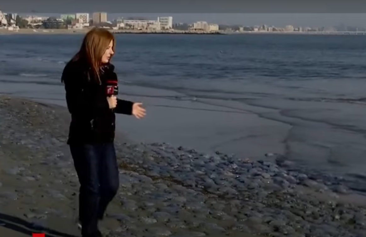 Screenshot 2025-10-01 103613.png