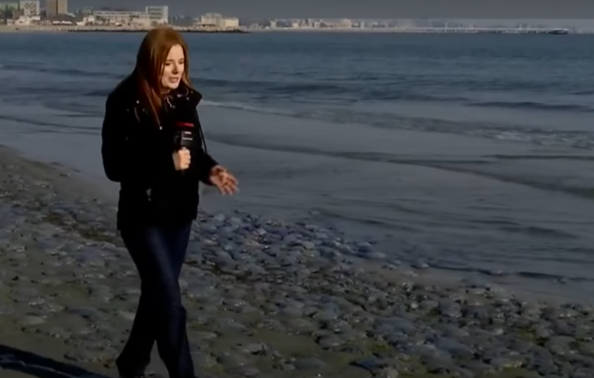 Screenshot 2025-10-01 103616.png