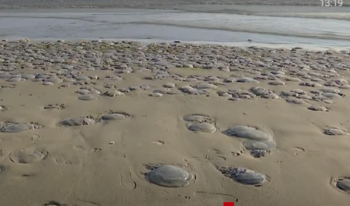 Screenshot 2025-10-01 103629.png