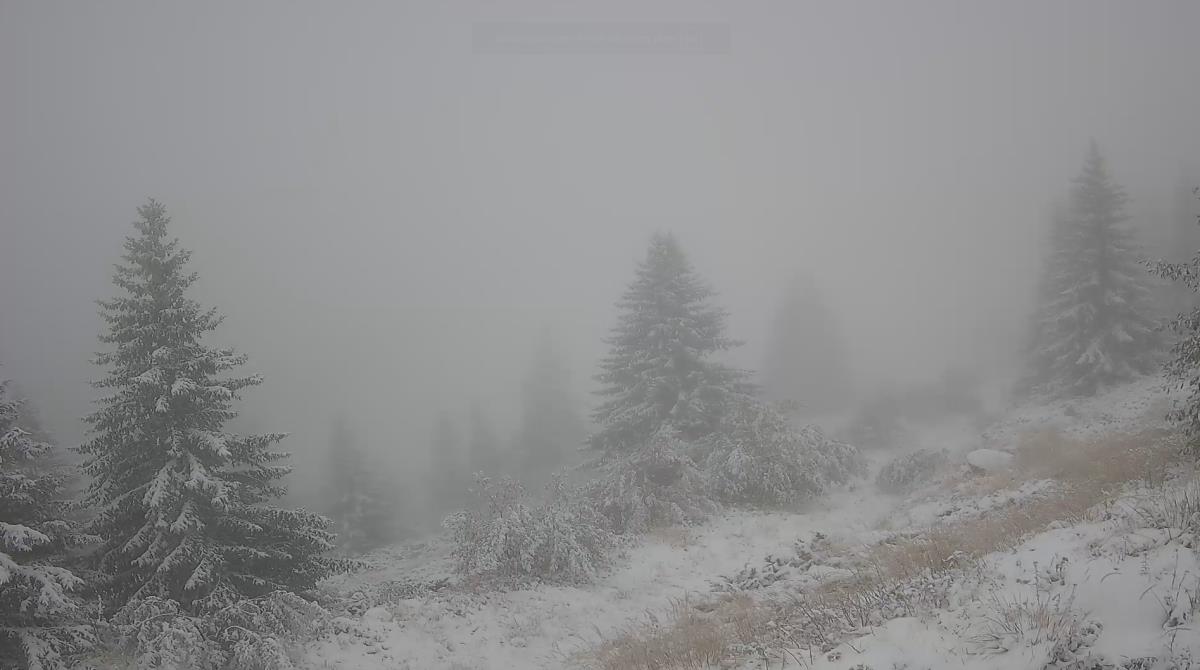 2025-10-02 07_44_00-.png