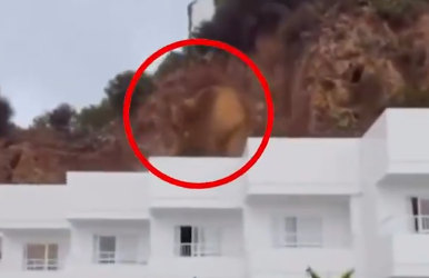 2025-10-02 11_20_22-Shock moment cliff collapses into Ibiza hotel in front of screaming tourists as .png