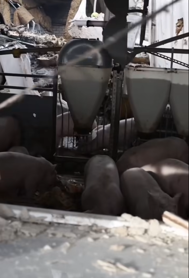 Screenshot 2025-10-04 080947.png