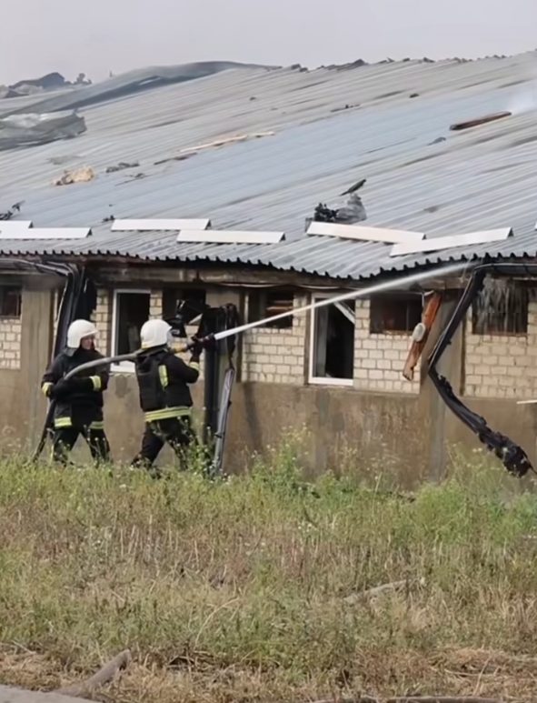 Screenshot 2025-10-04 080836.png