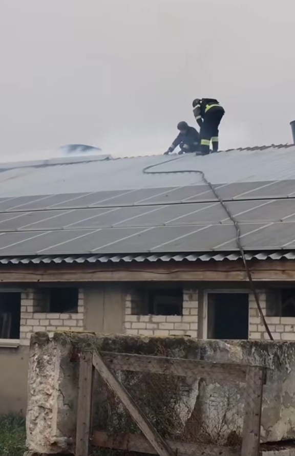 Screenshot 2025-10-04 080824.png