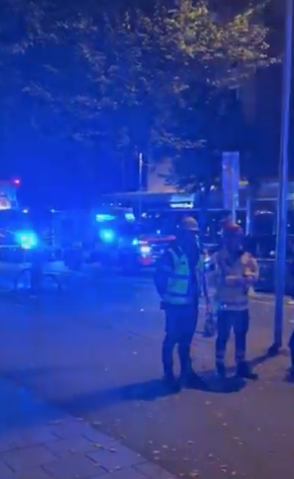 Screenshot 2025-10-04 124415.png