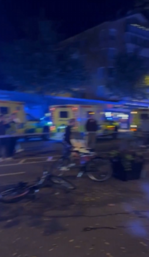 Screenshot 2025-10-04 124436.png