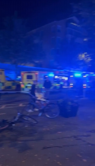 Screenshot 2025-10-04 124445.png