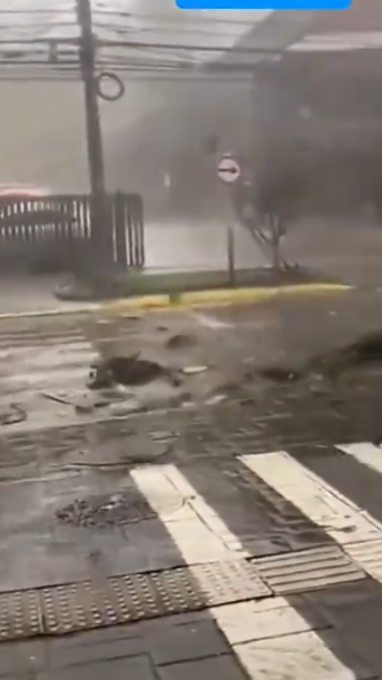 Screenshot 2025-10-05 145449.png