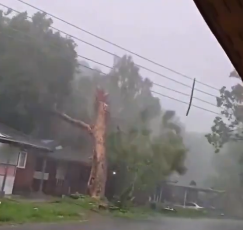 Screenshot 2025-10-05 145518.png