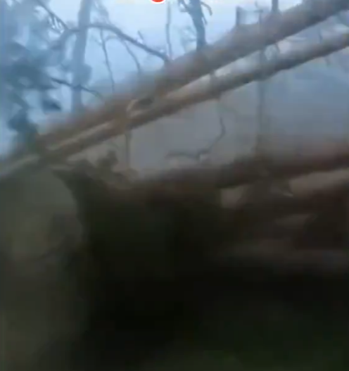 Screenshot 2025-10-05 145618.png