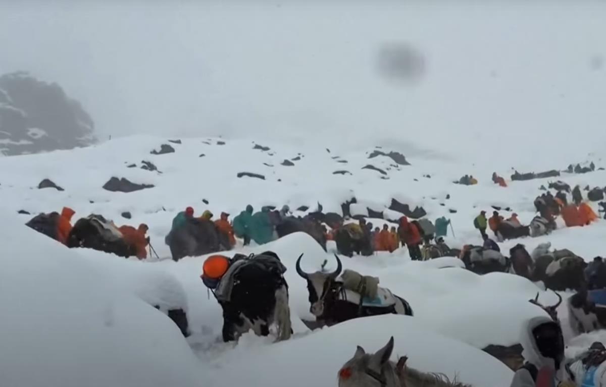 Screenshot 2025-10-06 153329.png