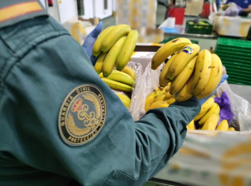 Screenshot 2025-10-06 192036.jpg