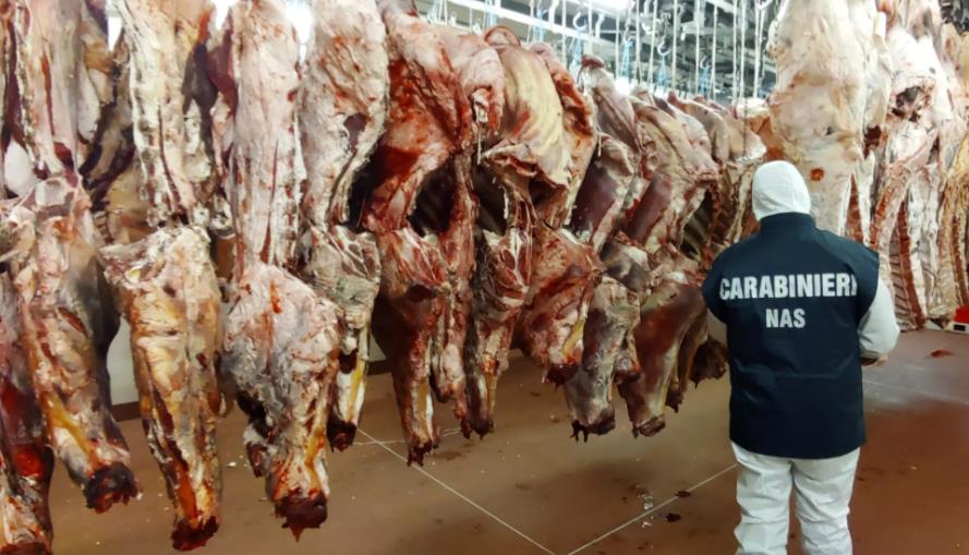 Screenshot 2025-10-06 192031.png