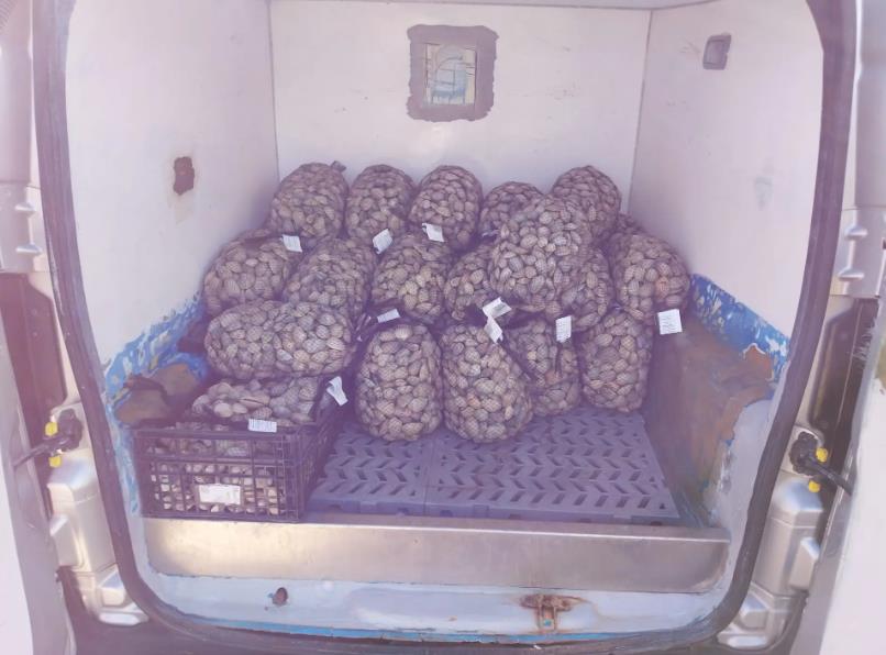 Screenshot 2025-10-06 192010.png