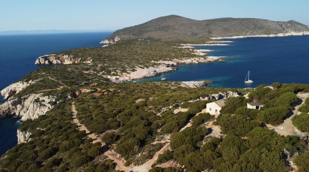 Screenshot 2025-10-06 224651.jpg